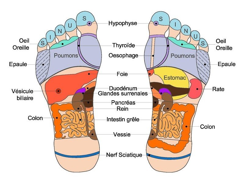 Massage ciblé et réflexologie pour une détente profonde et un lâcher-prise la chaud de fonds.